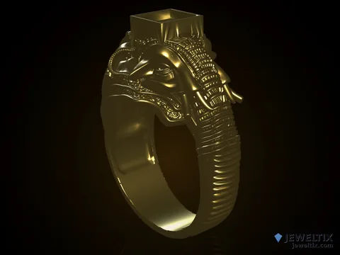 elephant ring
